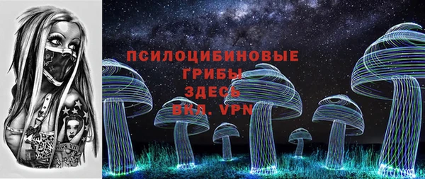 не бодяженный Алексин